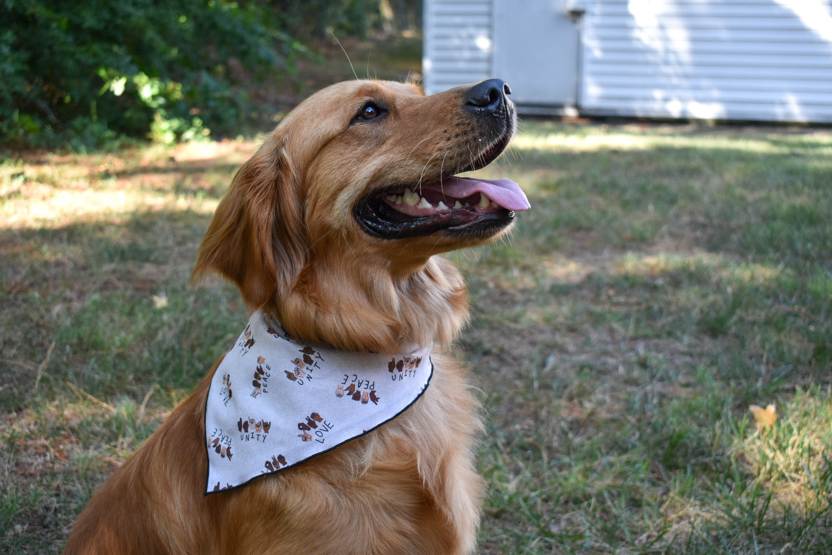 A side profile of a golden retriever sitting in the shade in a grassy area. She is wearing a tan bandana with a thin black hem and the words "Love, Peach, and Unity" printed on the fabric with sign language. 